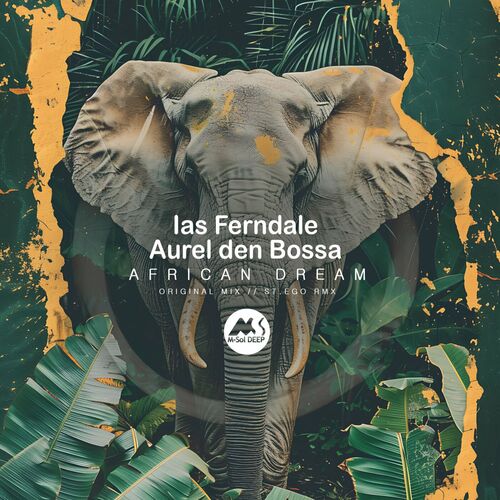 Ias Ferndale Aurel den Bossa - African Dream