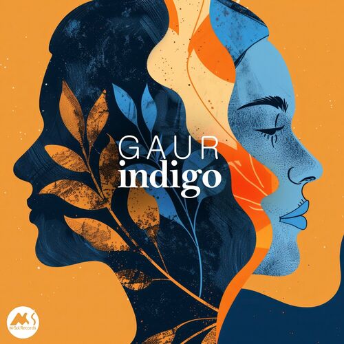 GAUR - Indigo