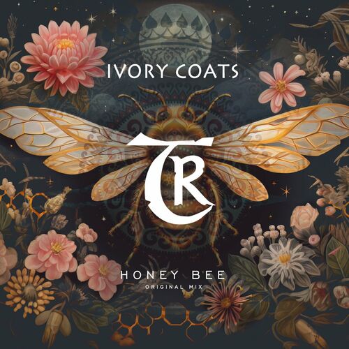 Ivory Coats - Honey Bee