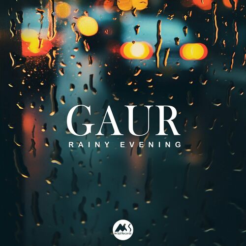 GAUR - Rainy Evening