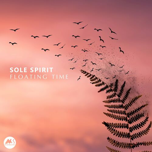 Sole Spirit - Floating Time