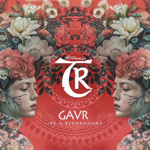 GavR - Like a Bloodhound