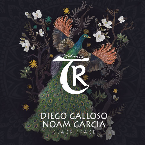 Diego Galloso, Noam Garcia - Black Space