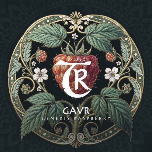 GavR - Generis Raspberry