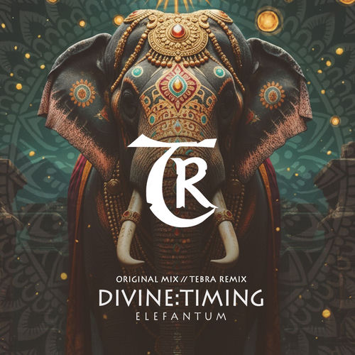 Lex Laurence, Liam Bongo, DIVINE TIMING - Elefantum
