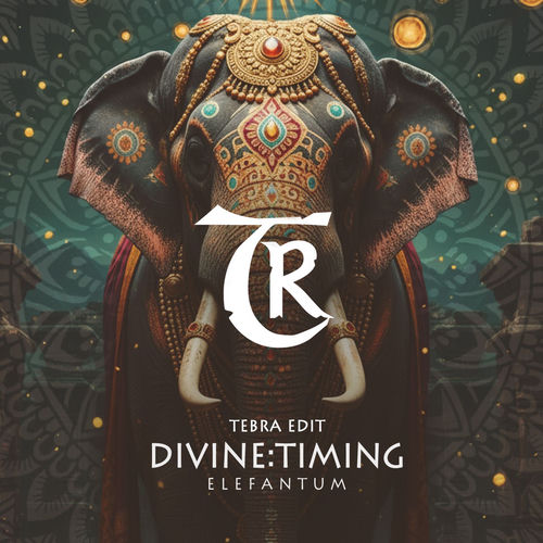 DIVINE:TIMING / TEBRA REMIX - Elefantum